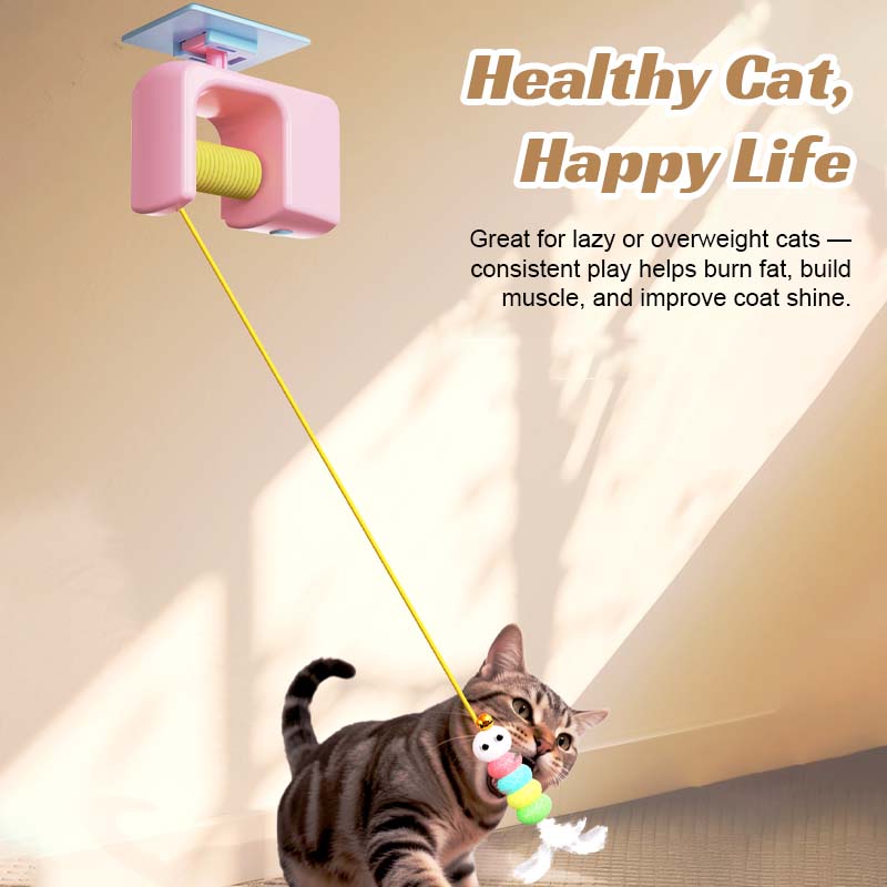 🎯 Elektrisch katten speelgoed – Slimme, interactieve speelervaring voor katten aan de muur!