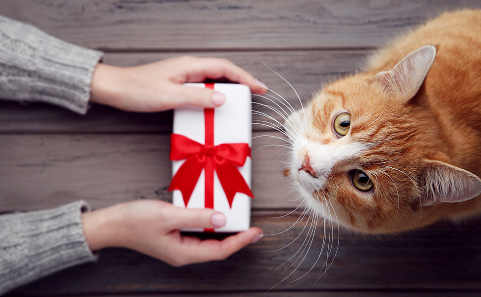 🐾Duże zabawki z wacików z kocimiętką (15 cm) – ręcznie robione, trwałe, bezpieczne i zabawn